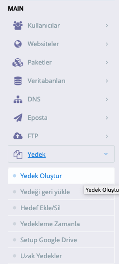 Cyber Yedek